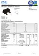 CSC2713的PDF第一页预览图片