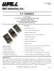 CV12S3.3-3000的PDF第一页预览图片