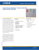 C4SMF-BJF-CS24Q4T2的PDF第一页预览图片