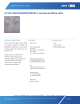 C513A-MSS-CW0Z0231的PDF第一页预览图片