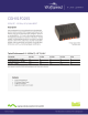 CGHV1F025S-AMP1的PDF第一页预览图片