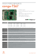 CONGA-TS67/I7-2655LE的PDF第一页预览图片