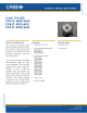 CP41T-AHS-CG0L0264的PDF第一页预览图片