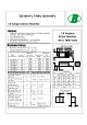 GS1010FL的PDF第一页预览图片