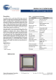 IBIS5-B-1300的PDF第一页预览图片
